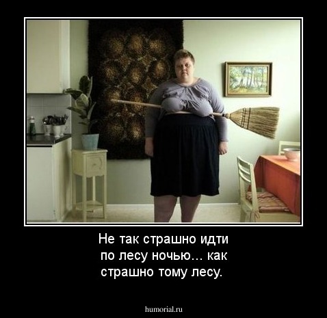 Не так страшно идти по лесу ночью... как страшно тому лесу.