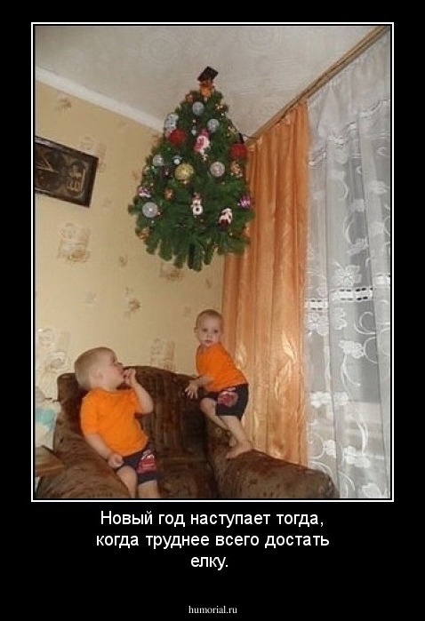 Новый год наступает  тогда, когда труднее всего достать елку.