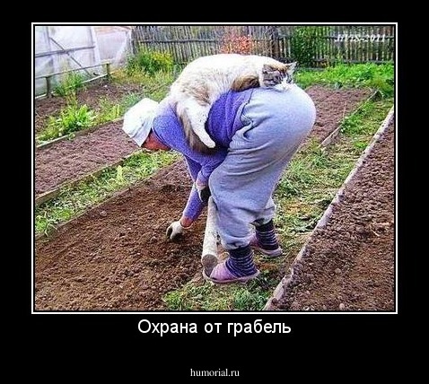 Охрана от грабель