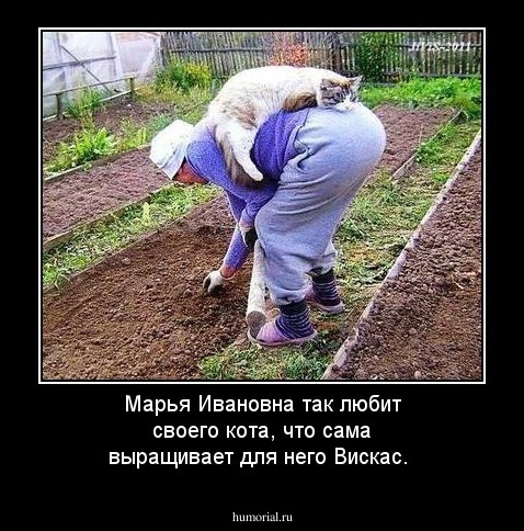 Марья Ивановна так любит своего кота, что сама выращивает для него Вискас. 