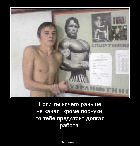 Если ты ничего раньше не качал, кроме порнухи, то тебе предстоит долгая работа