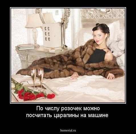 По числу розочек можно посчитать царапины на машине