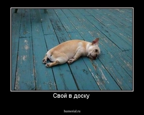 Свой в доску 