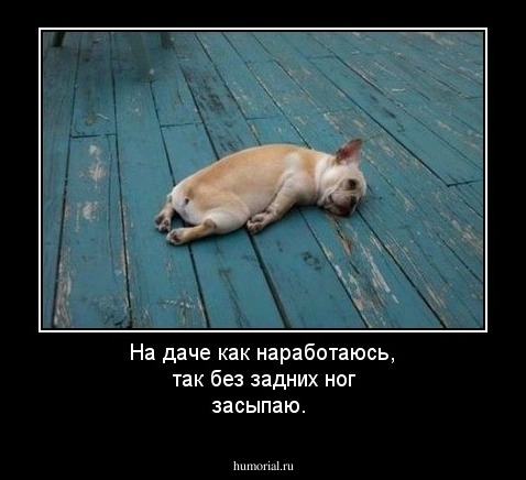 На даче как наработаюсь, так без задних ног засыпаю.
