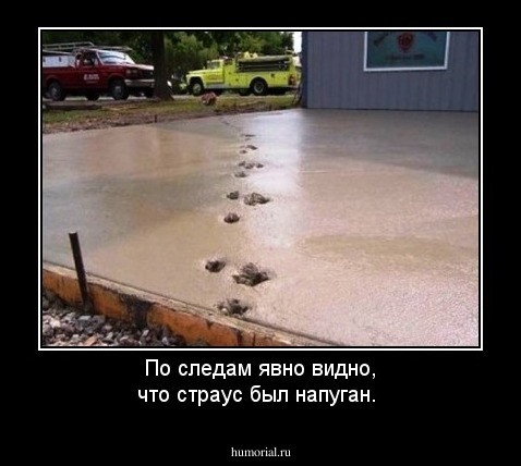 По следам явно видно, что страус был напуган.