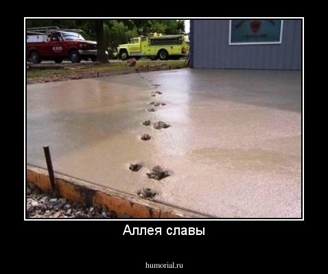 Аллея славы