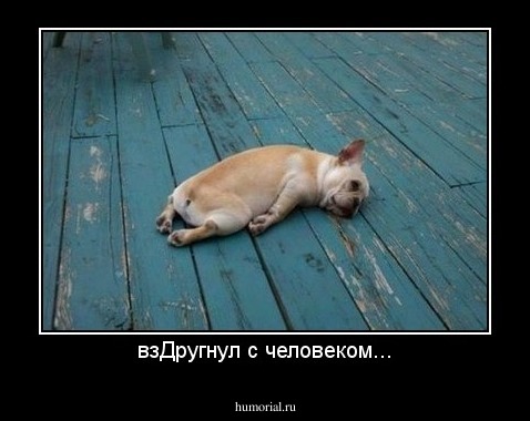 взДругнул с человеком...