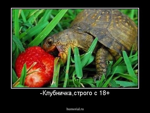-Клубничка,строго с 18+