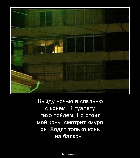 Выйду ночью в спальню с конем. К туалету тихо пойдем. Но стоит мой конь, смотрит хмуро он. Ходит только конь на балкон.