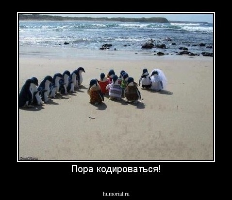 Пора кодироваться!
