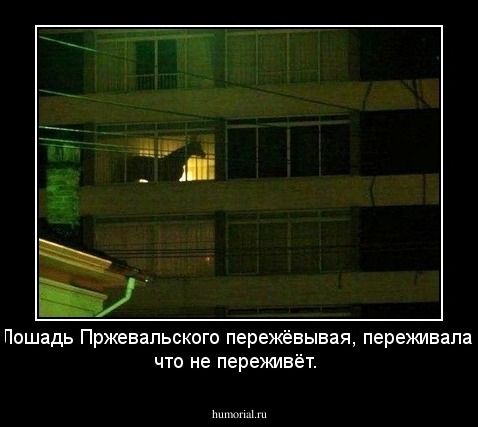 Лошадь Пржевальского  пережёвывая, переживала,  что не переживёт.