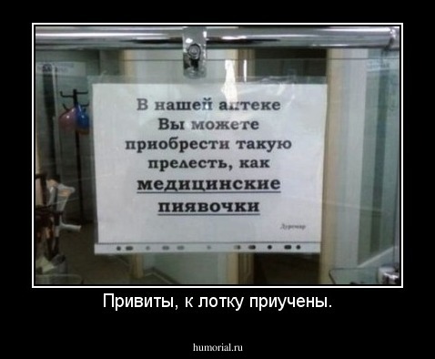 Привиты, к лотку приучены.