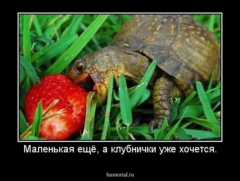 Маленькая ещё, а клубнички уже хочется.