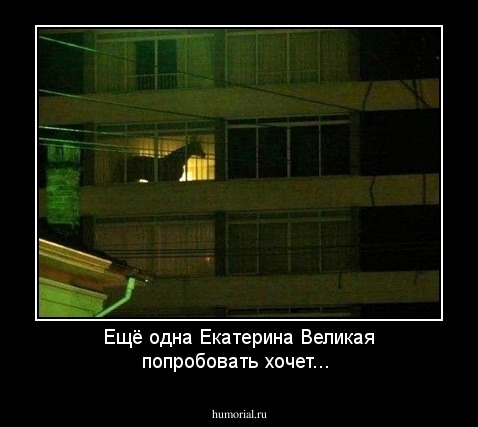 Ещё одна Екатерина Великая попробовать хочет...