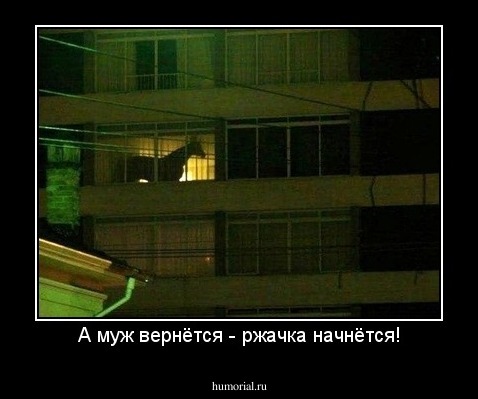 А муж вернётся - ржачка начнётся!