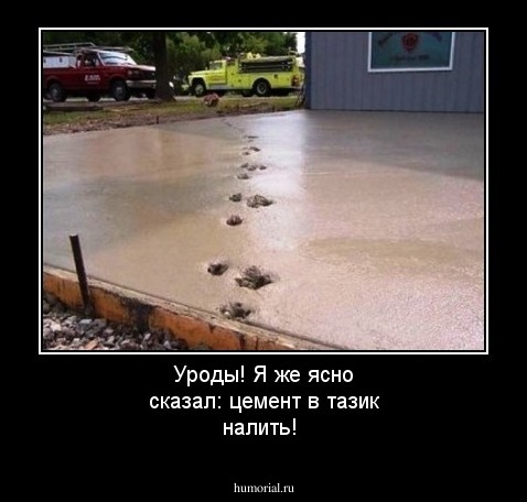 Уроды! Я же ясно сказал: цемент в тазик налить!