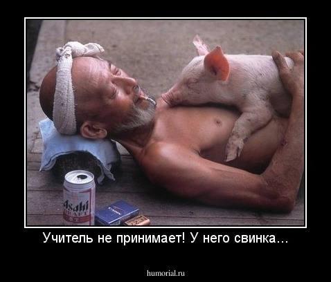 Учитель не принимает! У него свинка...