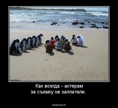 Как всегда - актерам за съемку не заплатили.