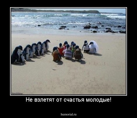 Не взлетят от счастья молодые!