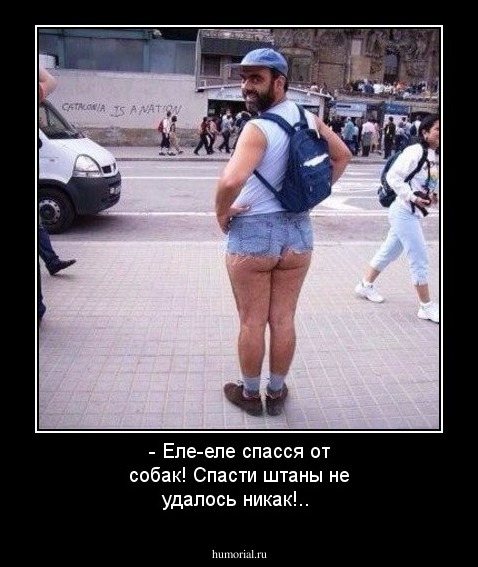 - Еле-еле спасся от собак! Спасти штаны не удалось никак!..