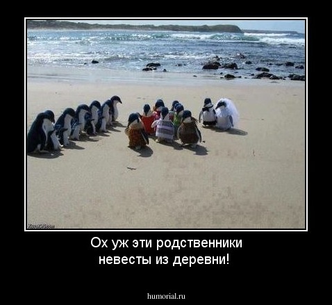 Ох уж эти родственники невесты из деревни! 