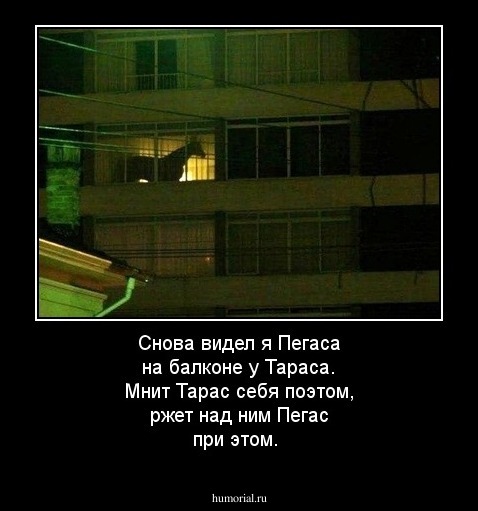 Снова видел я Пегаса на балконе у Тараса. Мнит Тарас себя поэтом, ржет над ним Пегас при этом.