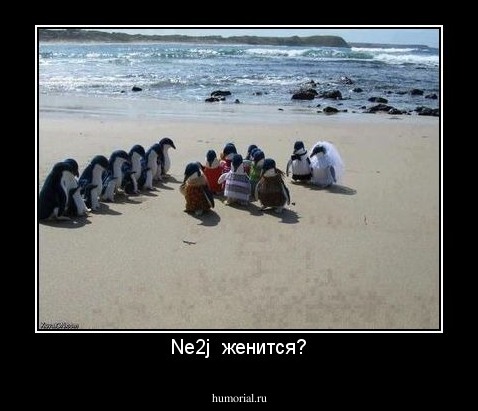 Ne2j  женится?