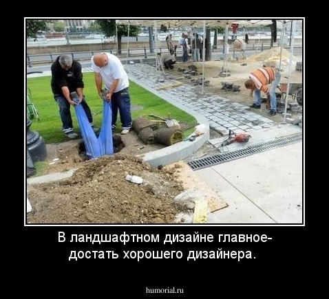 В ландшафтном дизайне главное-  достать хорошего дизайнера.