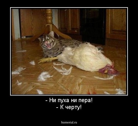 - Ни пуха ни пера!
- К черту!