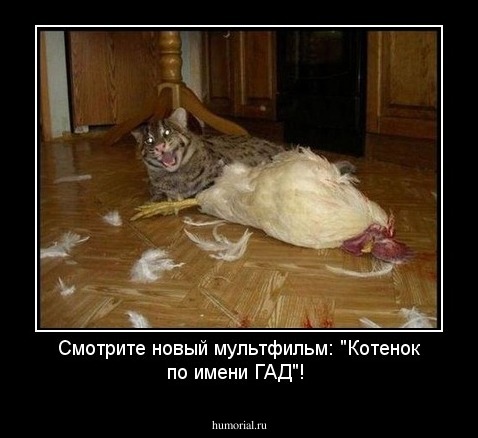 Смотрите новый мультфильм: "Котенок по имени ГАД"!