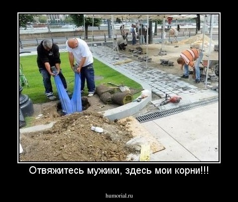 Отвяжитесь мужики, здесь мои корни!!!