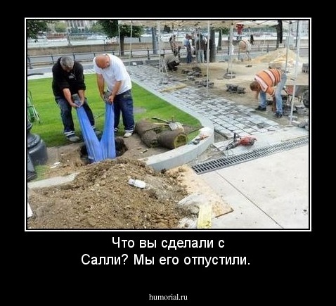 Что вы сделали с Салли? Мы его отпустили.