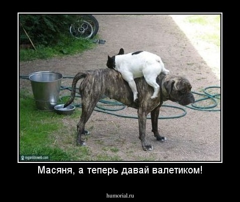 Масяня, а теперь давай валетиком!