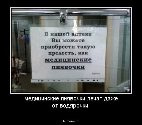 медицинские пиявочки лечат даже от водярочки