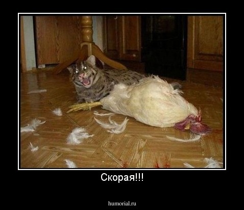 Скорая!!!