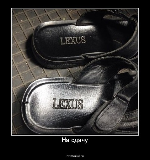 На сдачу