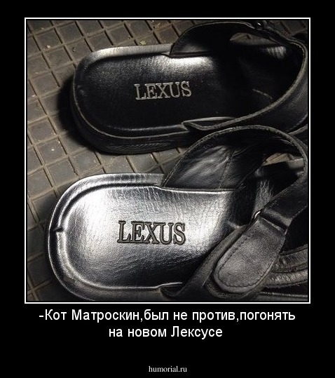 -Кот Матроскин,был не против,погонять на новом Лексусе