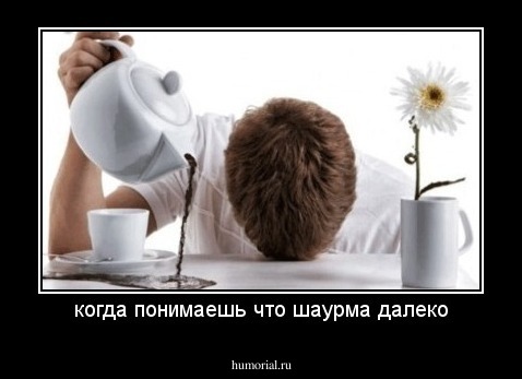 когда понимаешь что шаурма далеко