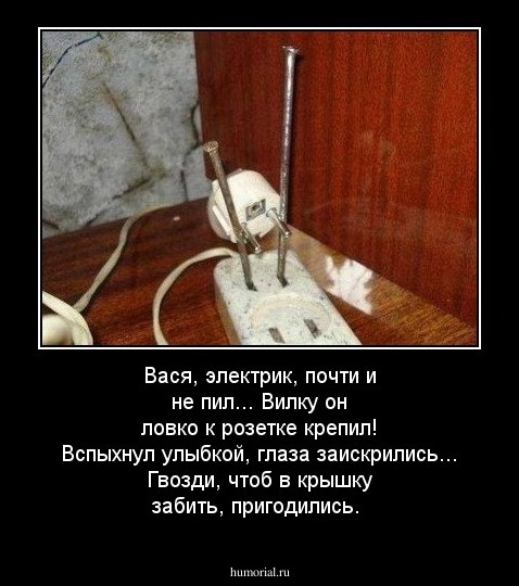 Вася, электрик, почти и не пил...
Вилку он ловко к розетке крепил!
Вспыхнул улыбкой, глаза заискрились...
Гвозди, чтоб в крышку забить, пригодились.