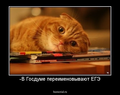 -В Госдуме переименовывают ЕГЭ