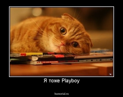 Я тоже Playboy