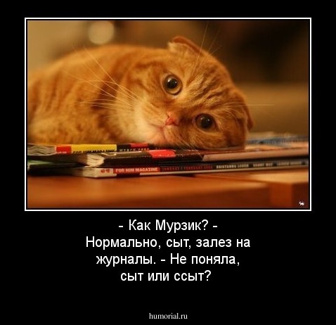 - Как Мурзик?
- Нормально, сыт,  залез на журналы.
- Не поняла, сыт или ссыт?
