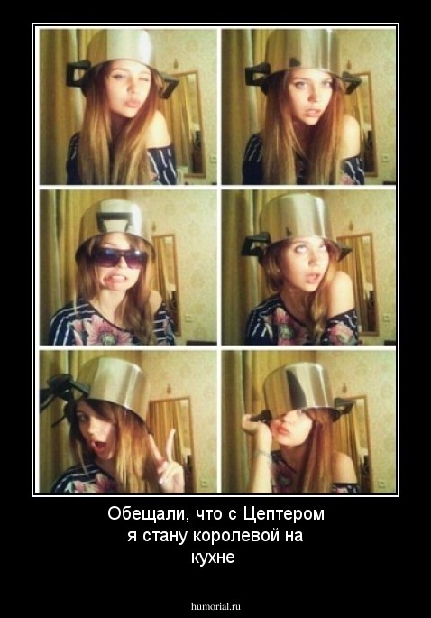 Обещали, что с Цептером я стану королевой на кухне