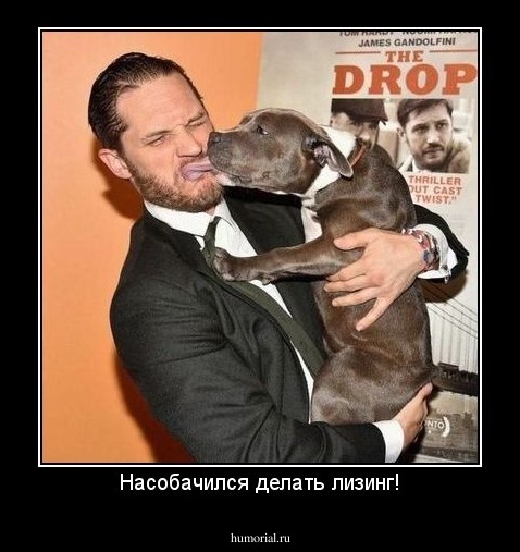 Насобачился делать лизинг!