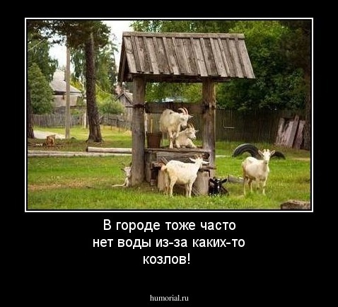 В городе тоже часто нет воды из-за каких-то козлов!