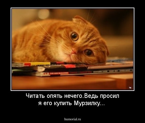 Читать  опять нечего.Ведь просил я его  купить  Мурзилку...