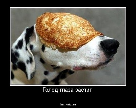 Голод глаза застит 