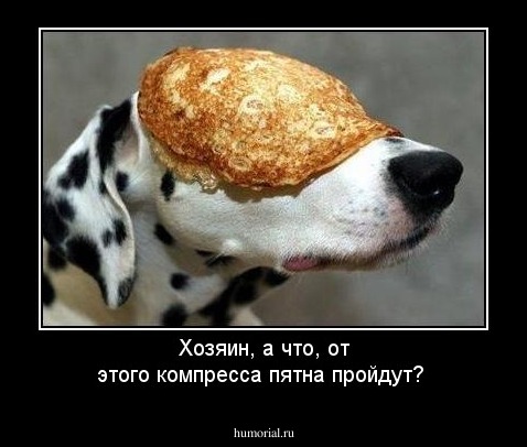 Хозяин, а что,  от этого компресса пятна пройдут?