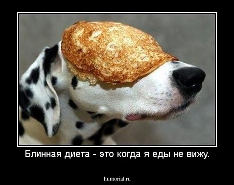 Блинная диета - это когда я еды не вижу.