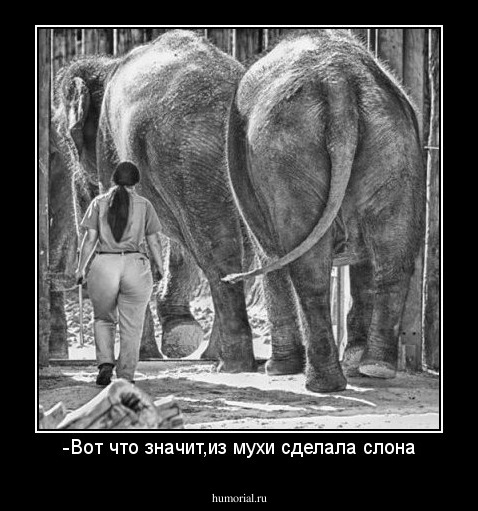 -Вот что значит,из мухи сделала слона